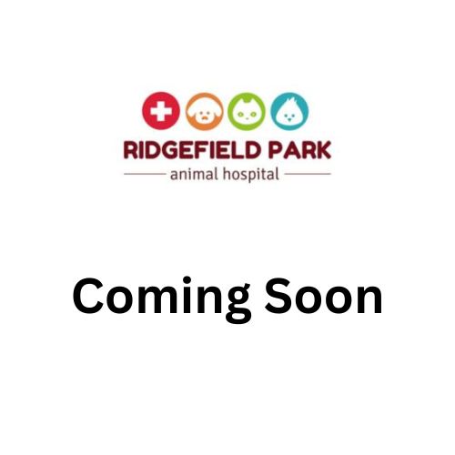 Coming soon place holder